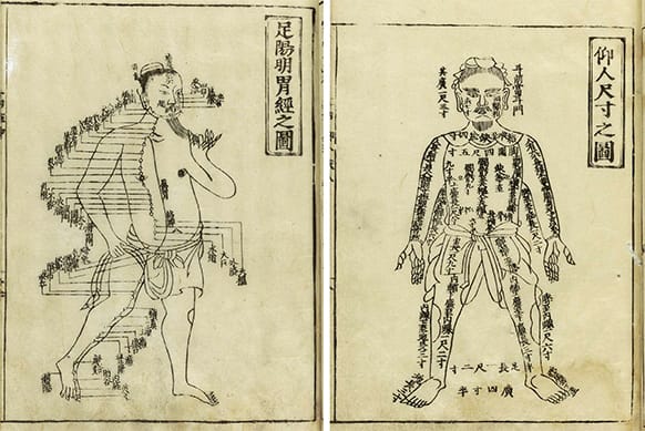 Acupuncture guide