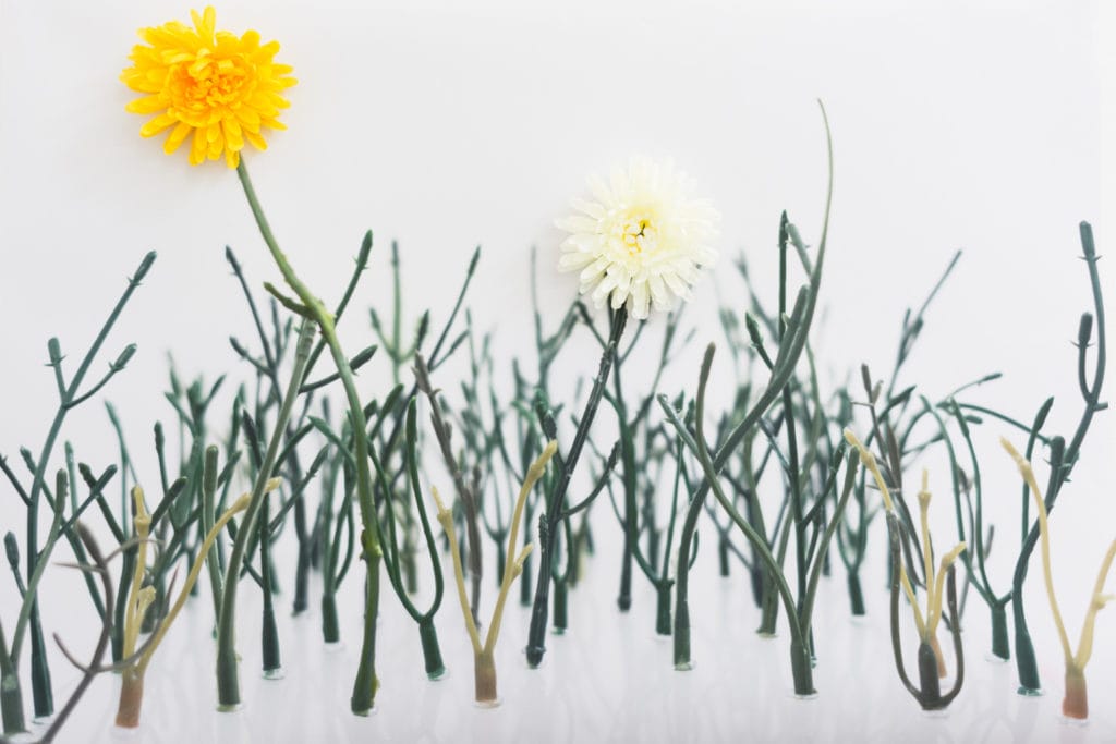 Denisse Leung Liu student artwork entitled Find me now before someone else does. Plastic stems with yellow and white flowers.