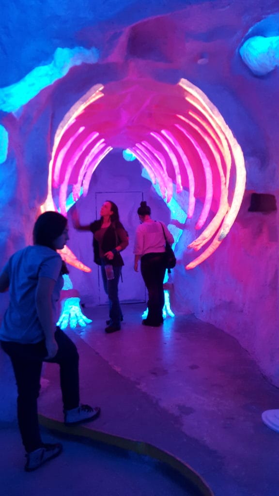 Meow Wolf art installation